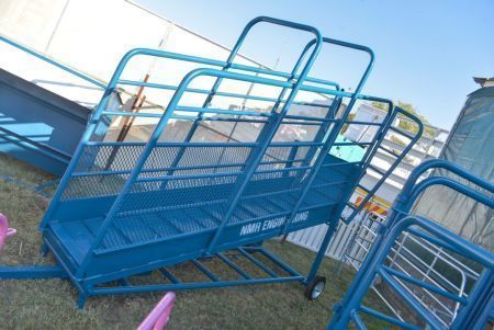 Cattle Loading Ramp 2